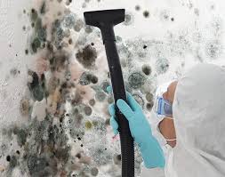  Cadiz, OH Mold Prevention & Removal Pros